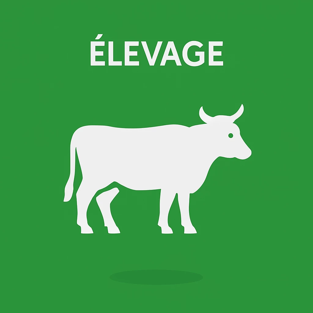 ELEVAGE
